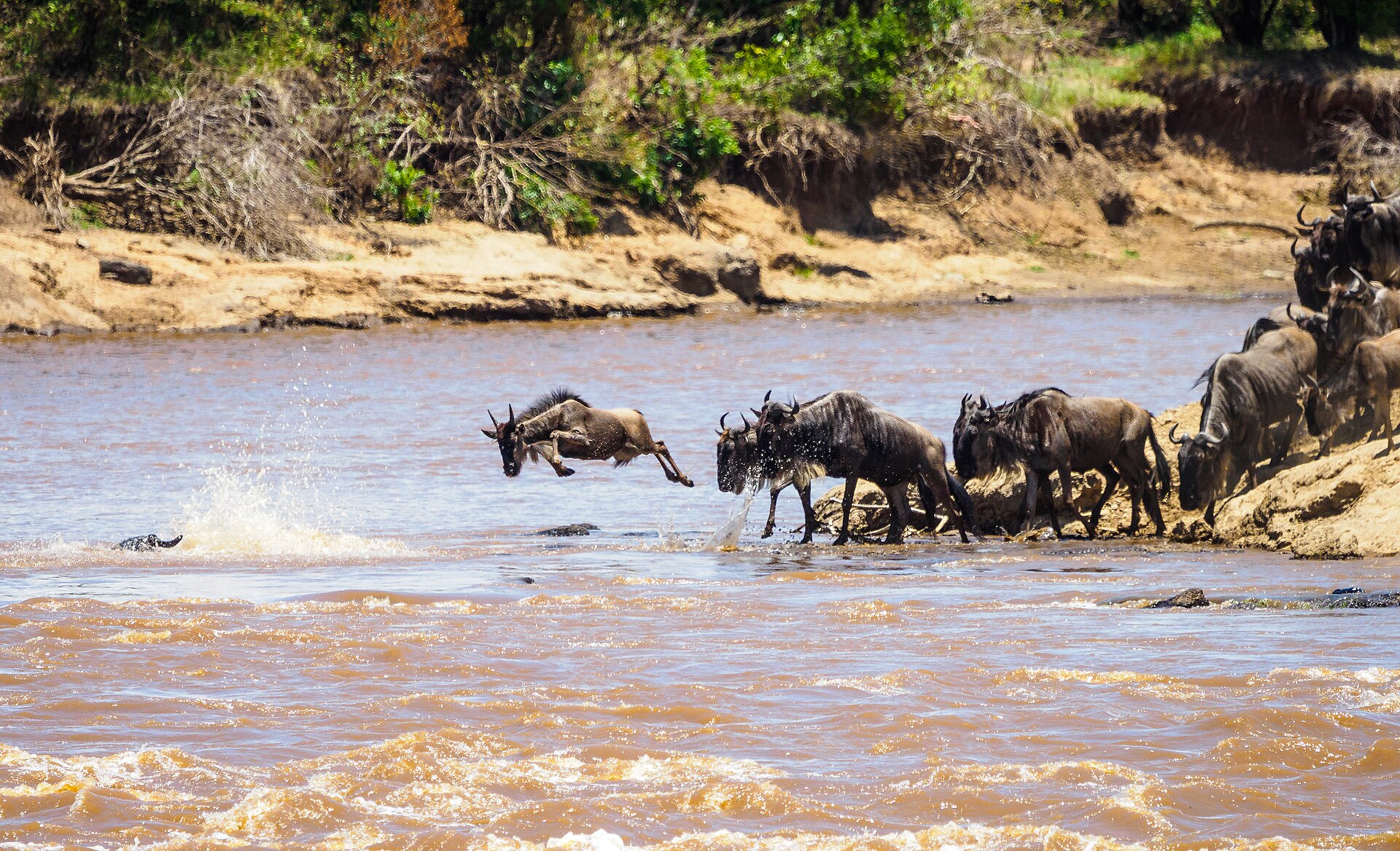 MARA RIVER