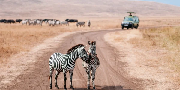Ngorongoro-consevation-area